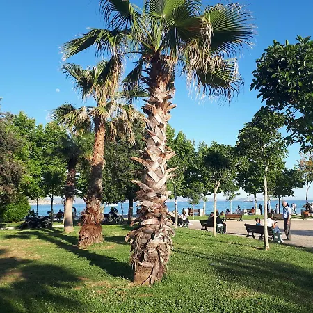 Apartament Alianthos *