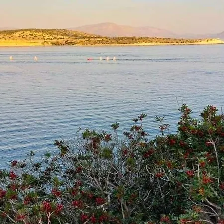 Alianthos *